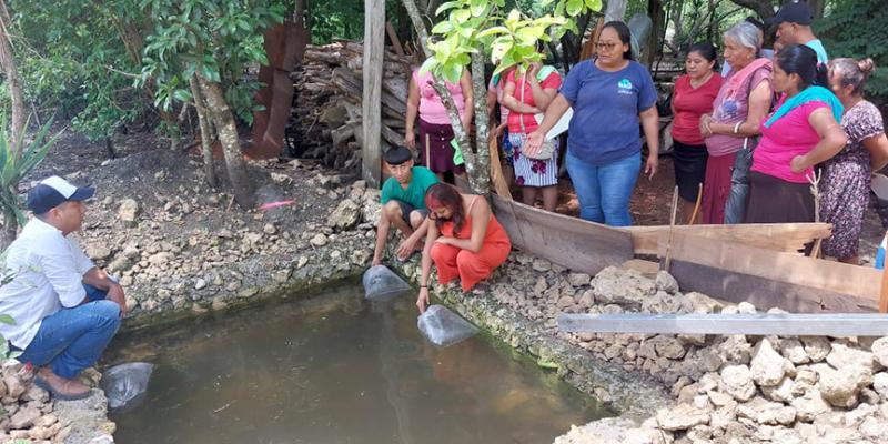 Fortalecen crianza de tilapia San Andrés, Petén