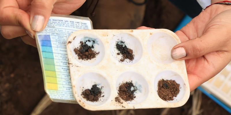 Guatemala ingresa a red mundial de laboratorios de suelo