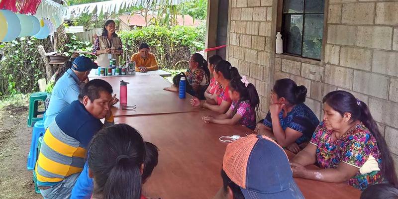 Importancia de los huertos familiares en la seguridad alimentaria