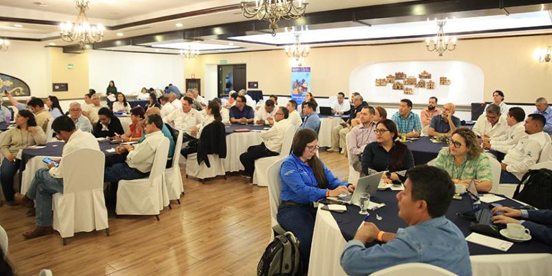 Inicia simulacro de Influenza Aviar