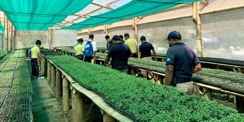 Jóvenes del Nuevo Modelo de Gestión Juvenil conocen Granja Integral Agropecuaria