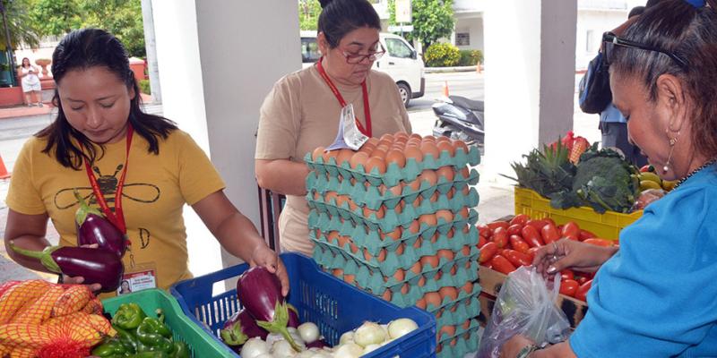 Realizan Feria de la Alimentación Escolar