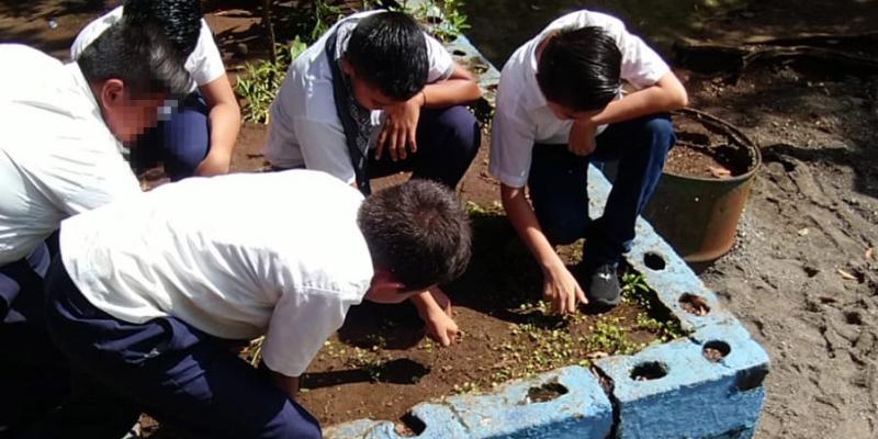 Verifican áreas para implementar huertos escolares en Santa Rosa