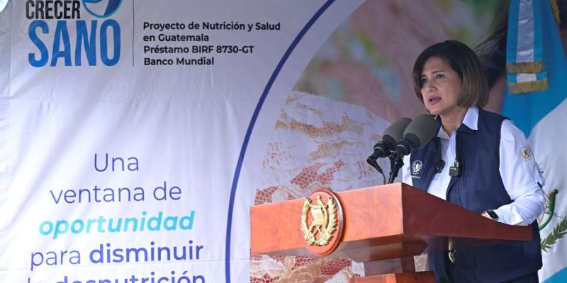 Vicepresidenta Karin Herrera