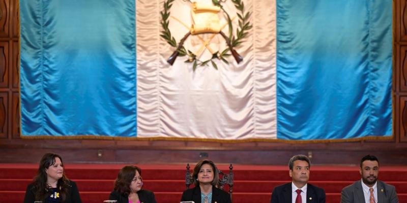 Vicepresidenta Karin Herrera