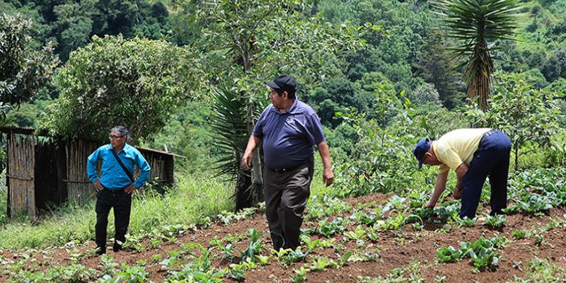 Visita de seguimiento a biofábrica de Santiago Sacatepéquez