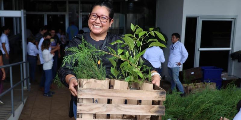 Por segundo año consecutivo el INDE regalará miles de plantas para contribuir a reforestar el país.