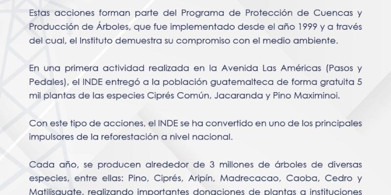 Comunicado oficial INDE entrega de 5 mil árboles