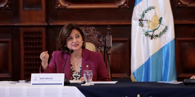 Presidenta en funciones Karin Herrera