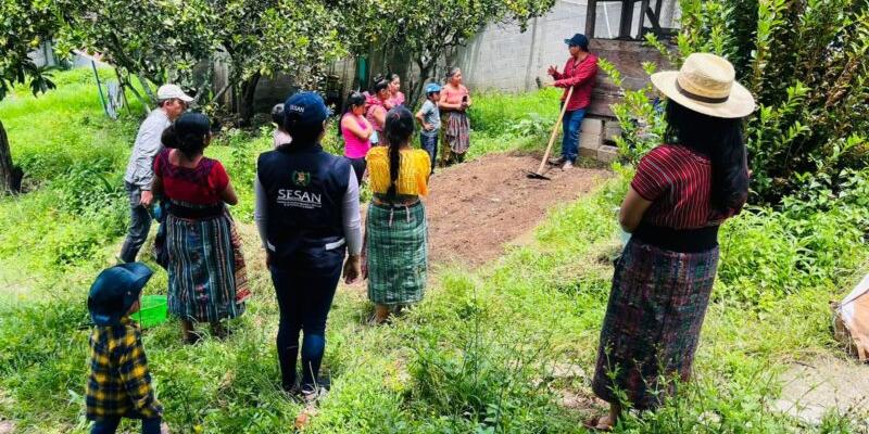 Inicia el diálogo nacional para establecer hoja de ruta y plan de acción de los sistemas alimentarios sostenibles en Guatemala