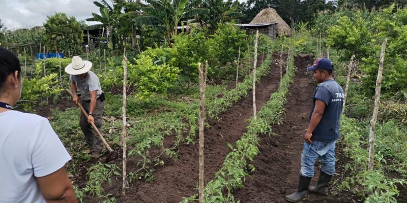 Brindan asistencia técnica para establecer un sistema MIAF