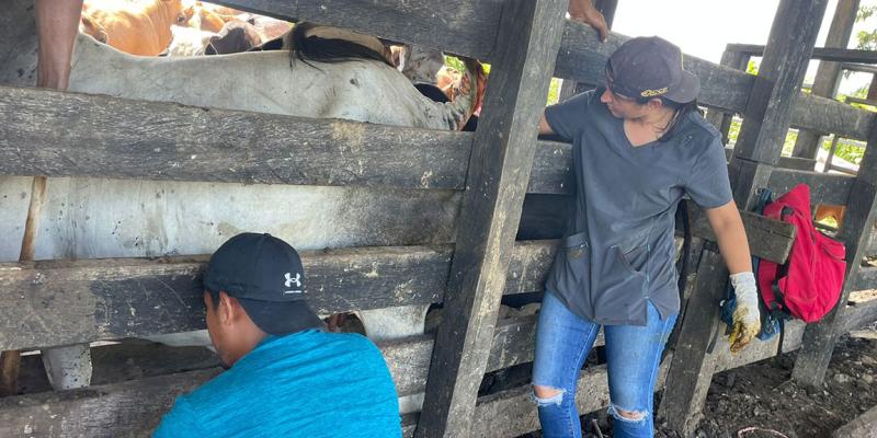 Capacitan a nuevos técnicos pecuarios