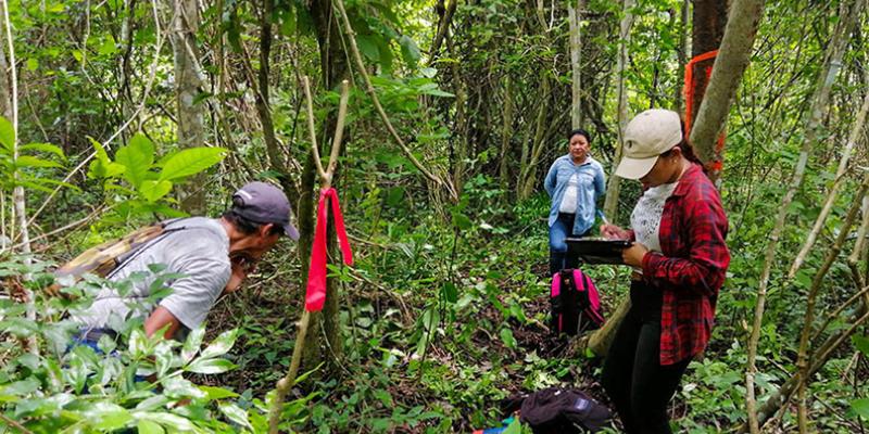 Continúa el apoyo a los silvicultores de Petén