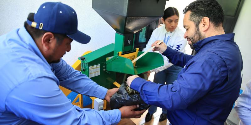 Energía solar y tecnología sostenible apoyan producción de té