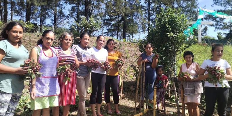 Fortalecen seguridad alimentaria con huerto comunitario
