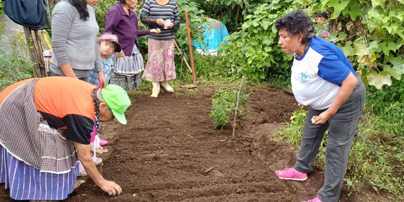 Implementan huertos familiares en San Bartolomé Milpas Altas