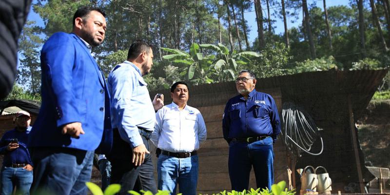 Integran Mesa Técnica para recuperar la cadena productiva de cardamomo