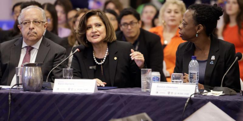 Karin Herrera, Presidenta en funciones