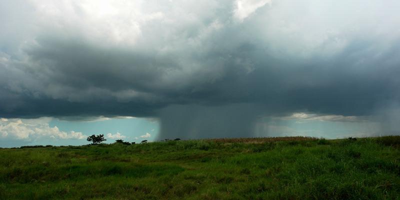 Lluvias se intensificarán la próxima semana: aplique prácticas de manejo del agua