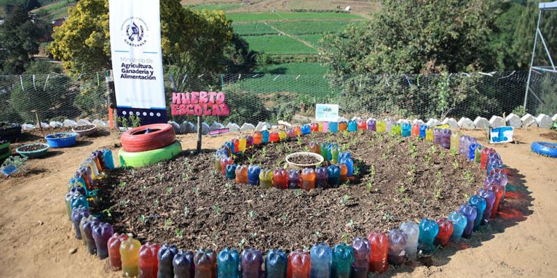 Los Huertos Escolares se han implementado en más de tres mil establecimientos