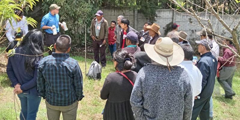 Productores fortalecen sus capacidades para el control integrado de la mosca de la fruta
