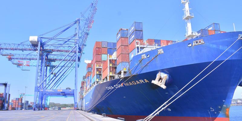 Sanidad pecuaria: Se han autorizado 24,677 gestiones de importación en ocho meses