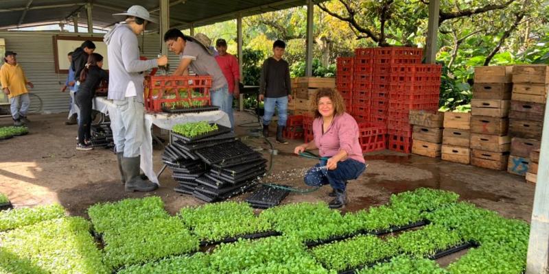 Se entregan pilones de hortalizas para implementar huertos escolares