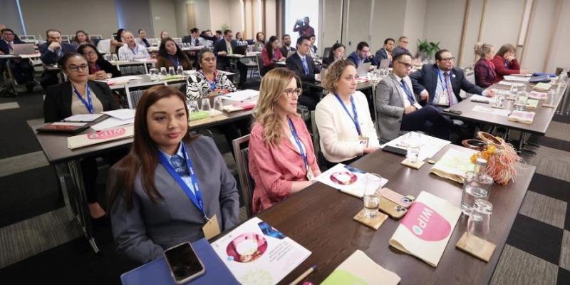 En la reunión preparatoria de la VIII Reunión de Ministros de Centroamérica y República Dominicana de la Organización Mundial de la Propiedad Intelectual (OMPI) participan  técnicos de los países convocados.