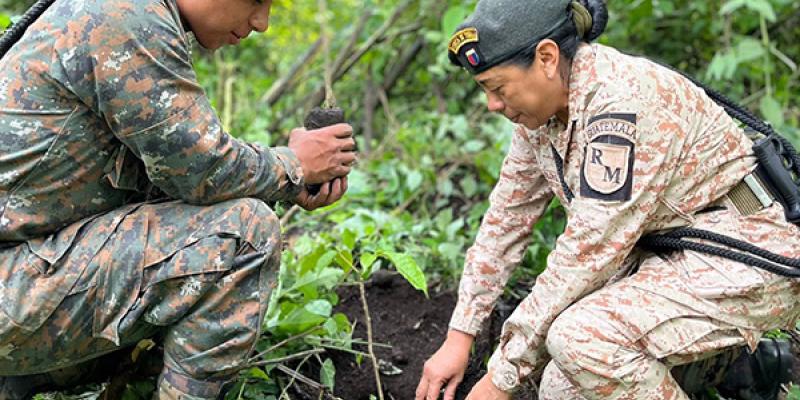 Ejército de Guatemala lleva a cabo jornadas de reforestación para el fortalecimiento de los bosques.