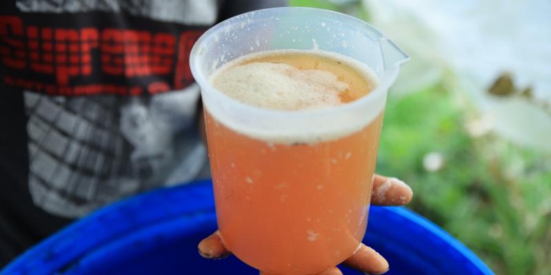 Abono Orgánico líquido