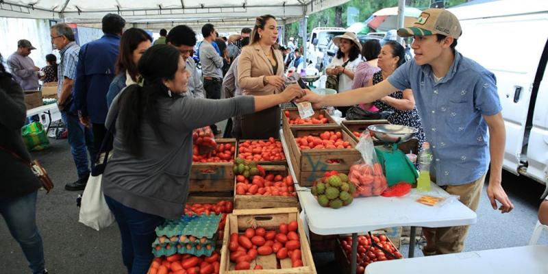 Adquiera sus productos para elaboración del fiambre en la Feria del Agricultor