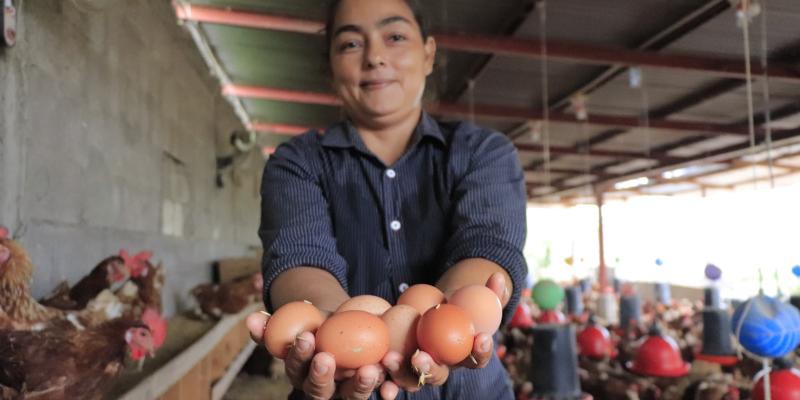 Beneficios del huevo