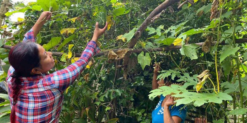 Brindan asistencia a productores rurales de Zona de Adyacencia