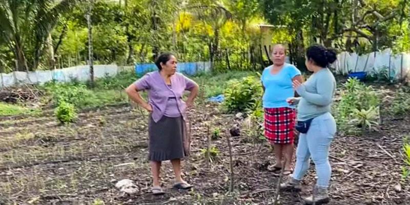 Brindan asistencia técnica en parcela demostrativa de Nueva Alianza, Poptún