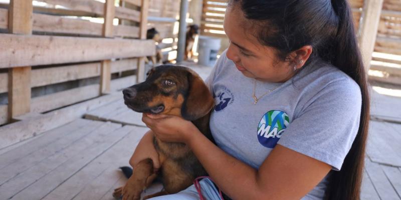 Su bienestar, nuestra prioridad: Conozca las funciones principales de la Unidad de Bienestar Animal