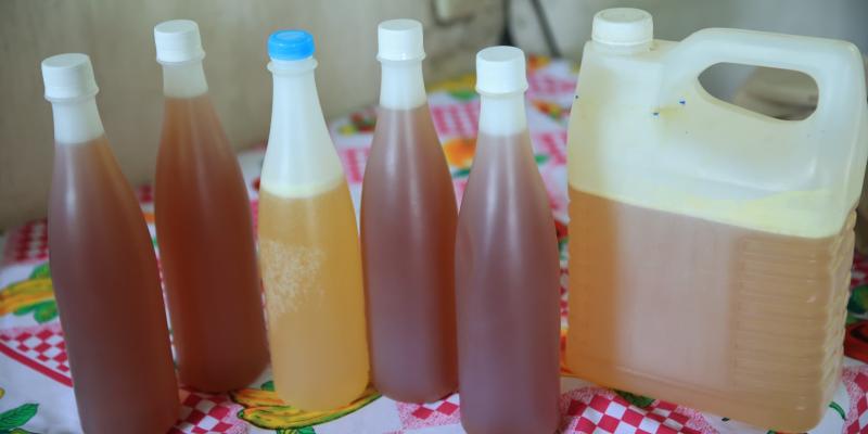 Conozca por qué la miel es beneficiosa para la salud