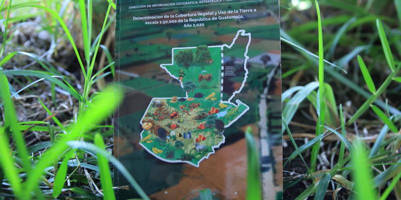 Conozca qué es un mapa de cobertura vegetal
