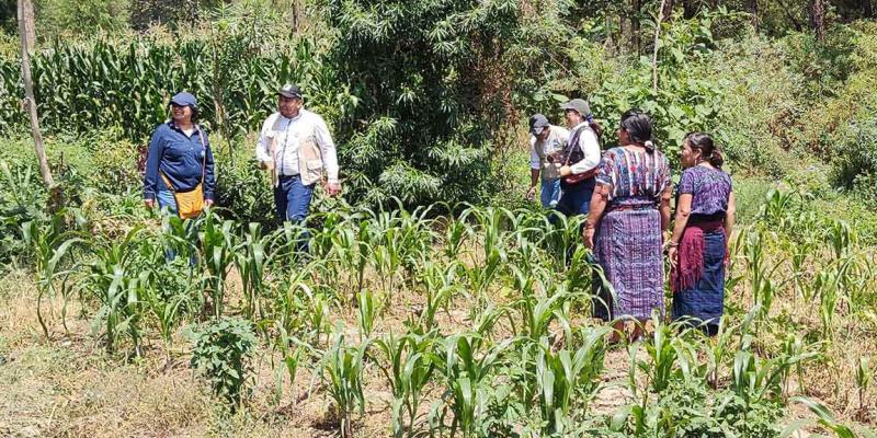 Conozca que son los CADER