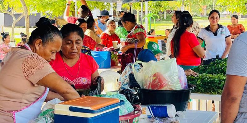 El Chal recibe a 27 productores locales en la Feria del Agricultor