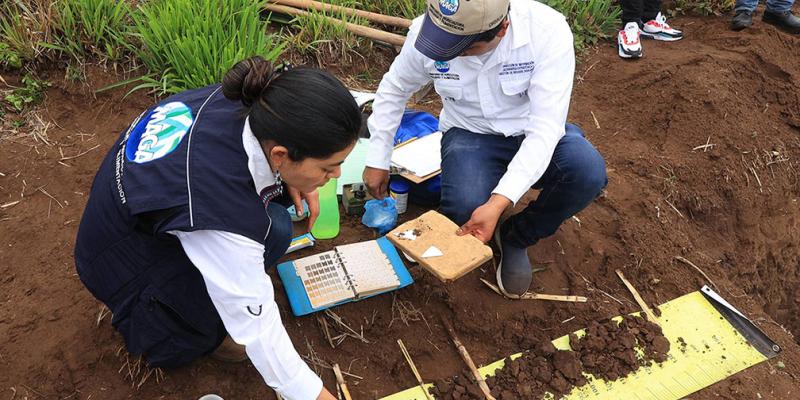 El estudio de suelos