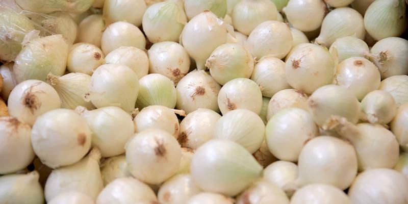 Estas son algunas propiedades y beneficios de la cebolla 