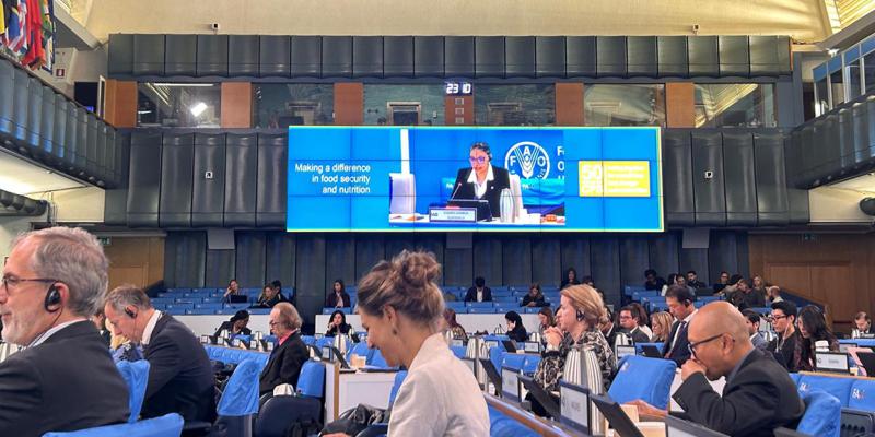 Guatemala presenta avances en la 52ª Sesión Plenaria del Comité de Seguridad Alimentaria Mundial
