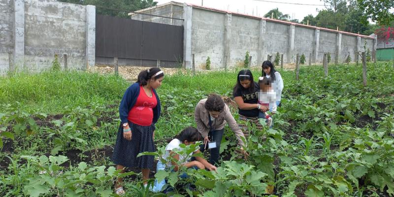 Jóvenes de Machaquilá recogen cosecha de huerto comunitario