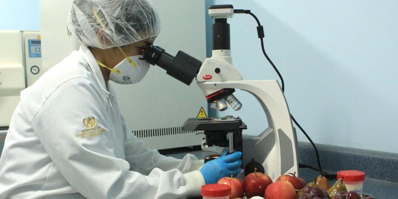 La inocuidad de los alimentos es garantía para la salud