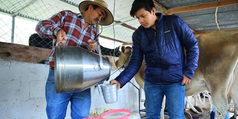 La leche es un alimento fuente de calcio