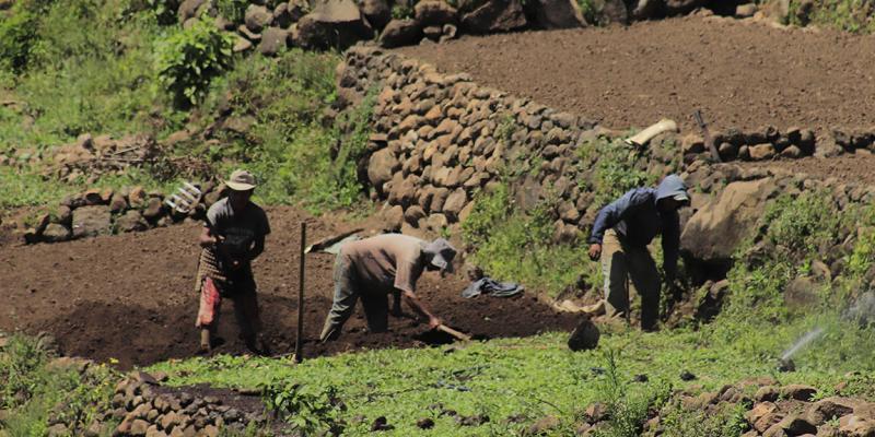 La conservación de suelos