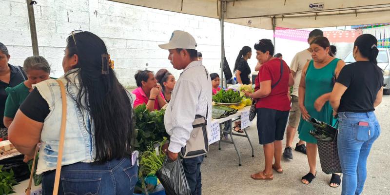 Las Cruces y San Benito son anfitriones de la Feria del Agricultor