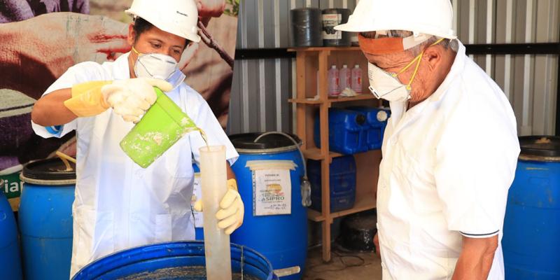 Los biofertilizantes una alternativa natural