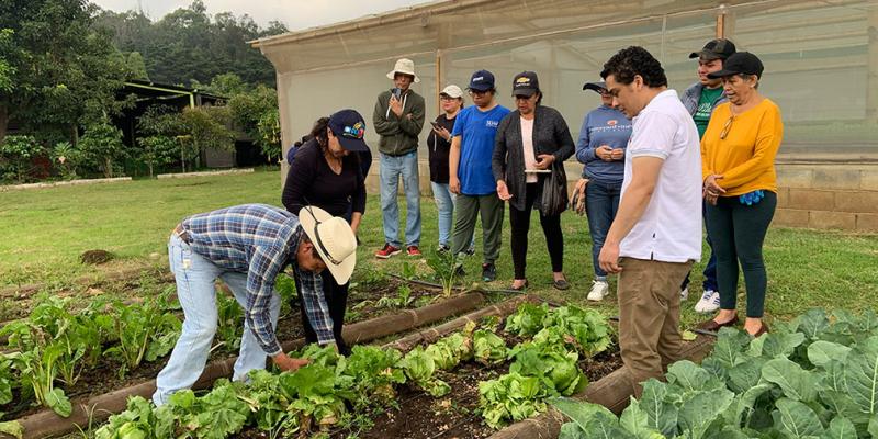 Personas con discapacidad auditiva aprenden procesos agrícolas y pecuarios