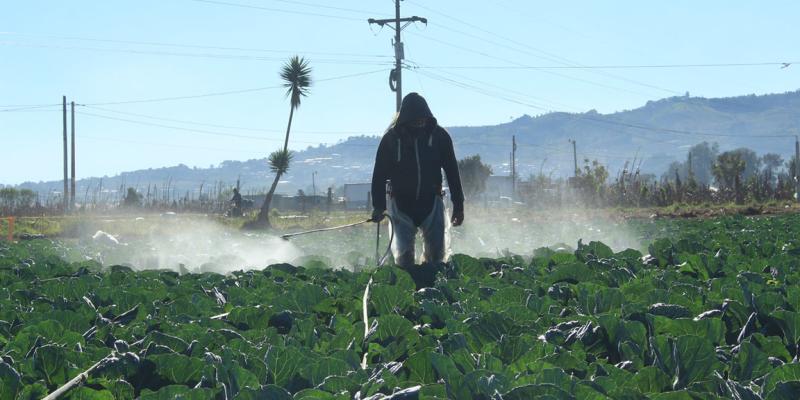 Prevenga sus cultivos de las bajas temperaturas